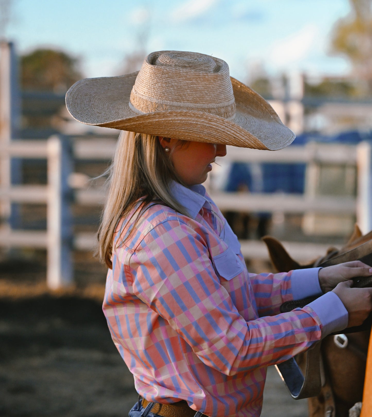 Aurora Limited Edition